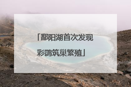 鄱阳湖首次发现彩鹮筑巢繁殖