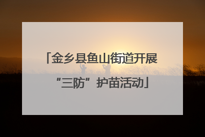 金乡县鱼山街道开展“三防”护苗活动