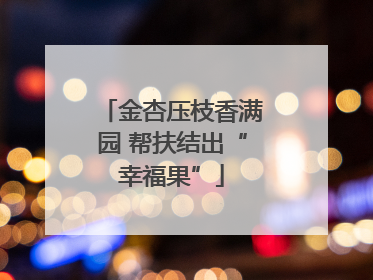 金杏压枝香满园 帮扶结出“幸福果”