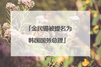 金民锡被提名为韩国国务总理