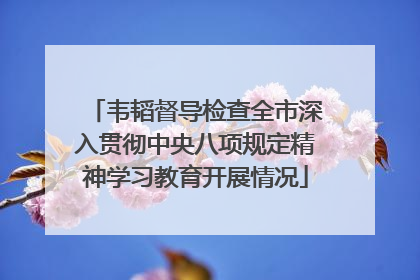韦韬督导检查全市深入贯彻中央八项规定精神学习教育开展情况