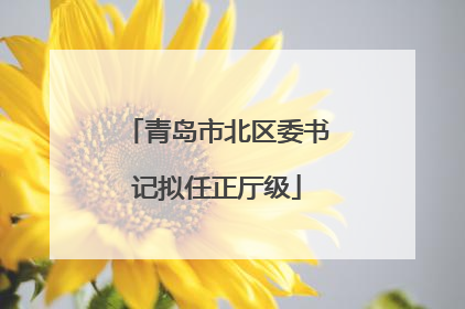 青岛市北区委书记拟任正厅级