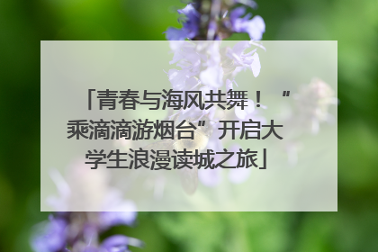 青春与海风共舞！“乘滴滴游烟台”开启大学生浪漫读城之旅