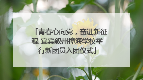 青春心向党，奋进新征程 宜宾叙州樟海学校举行新团员入团仪式