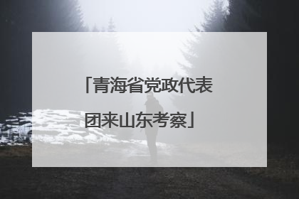 青海省党政代表团来山东考察