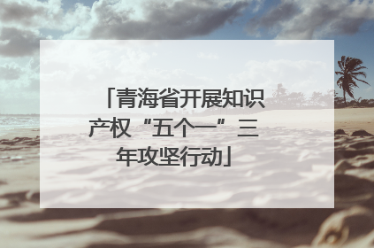 青海省开展知识产权“五个一”三年攻坚行动