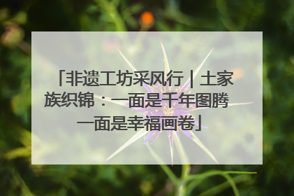 非遗工坊采风行｜土家族织锦：一面是千年图腾 一面是幸福画卷