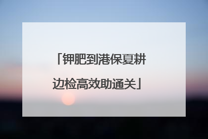钾肥到港保夏耕 边检高效助通关