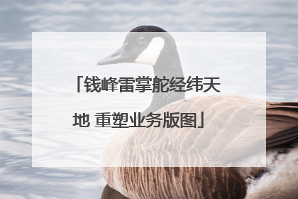 钱峰雷掌舵经纬天地 重塑业务版图