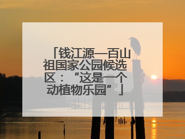 钱江源—百山祖国家公园候选区：“这是一个动植物乐园”