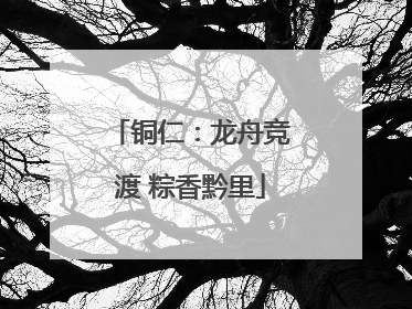 铜仁：龙舟竞渡 粽香黔里