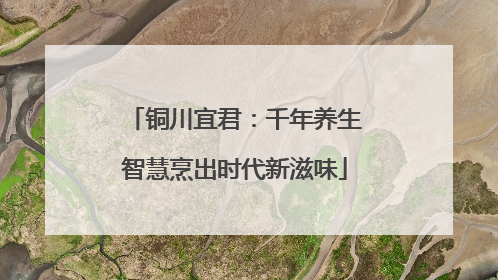 铜川宜君：千年养生智慧烹出时代新滋味