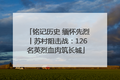 铭记历史 缅怀先烈丨苏村阻击战：126名英烈血肉筑长城