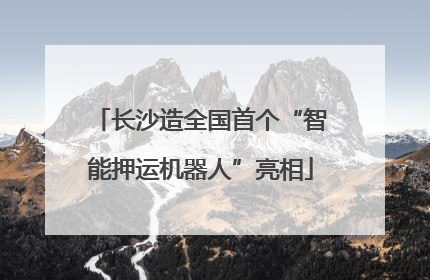 长沙造全国首个“智能押运机器人”亮相