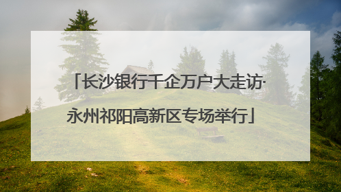 长沙银行千企万户大走访·永州祁阳高新区专场举行