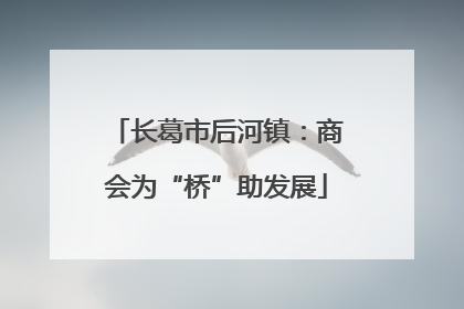 长葛市后河镇：商会为“桥”助发展