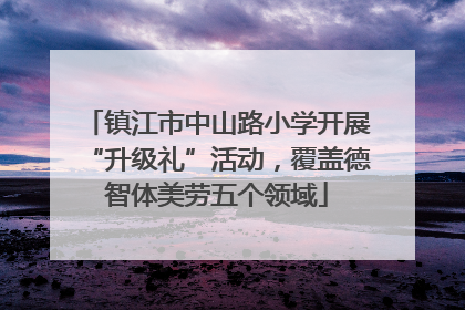 镇江市中山路小学开展“升级礼”活动，覆盖德智体美劳五个领域