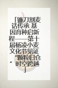 镰刀割麦话传承 基因育种启新程——第十届杨凌小麦文化节见证“颗粒归仓”时空跨越