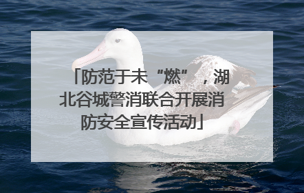 防范于未“燃”，湖北谷城警消联合开展消防安全宣传活动