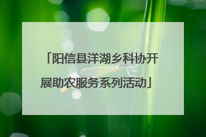 阳信县洋湖乡科协开展助农服务系列活动
