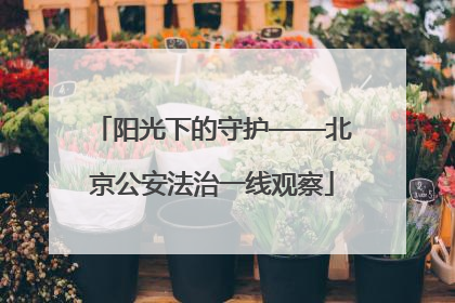阳光下的守护——北京公安法治一线观察