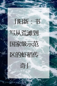 阳新：书写从荒滩到国家级示范区的虾稻传奇