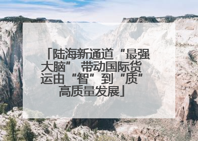 陆海新通道“最强大脑” 带动国际货运由“智”到“质”高质量发展