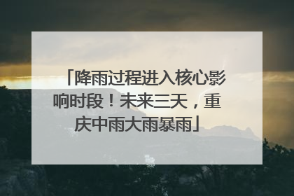 降雨过程进入核心影响时段！未来三天，重庆中雨大雨暴雨