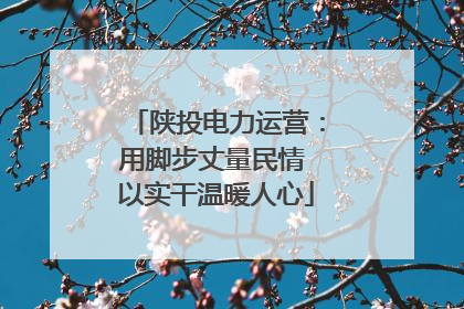 陕投电力运营：用脚步丈量民情 以实干温暖人心