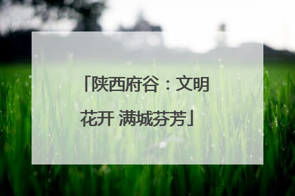 陕西府谷：文明花开 满城芬芳