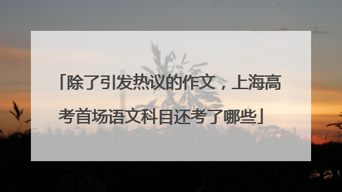 除了引发热议的作文，上海高考首场语文科目还考了哪些