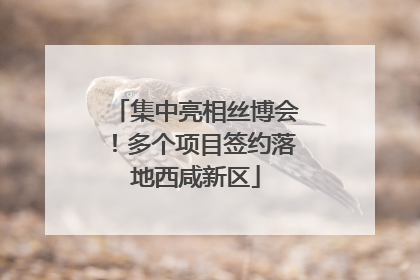 集中亮相丝博会！多个项目签约落地西咸新区