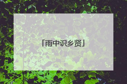 雨中识乡贤