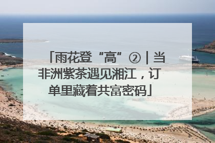 雨花登“高”②｜当非洲紫茶遇见湘江，订单里藏着共富密码