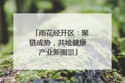 雨花经开区：聚链成势，共绘健康产业新图景