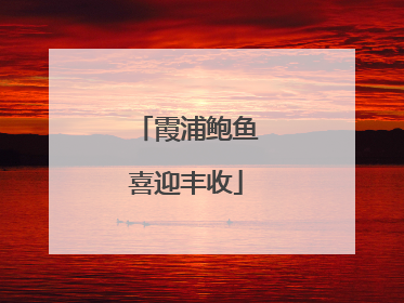 霞浦鲍鱼喜迎丰收