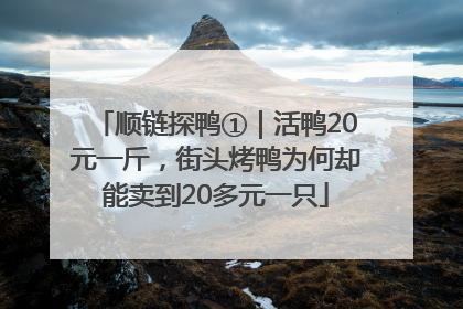 顺链探鸭①｜活鸭20元一斤，街头烤鸭为何却能卖到20多元一只