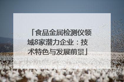食品金属检测仪领域8家潜力企业：技术特色与发展前景
