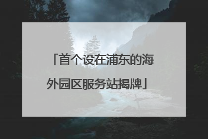 首个设在浦东的海外园区服务站揭牌