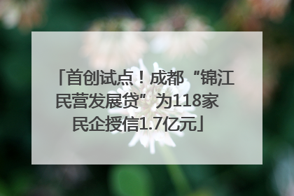 首创试点！成都“锦江民营发展贷”为118家民企授信1.7亿元