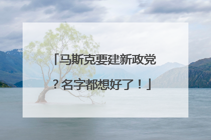 马斯克要建新政党？名字都想好了！