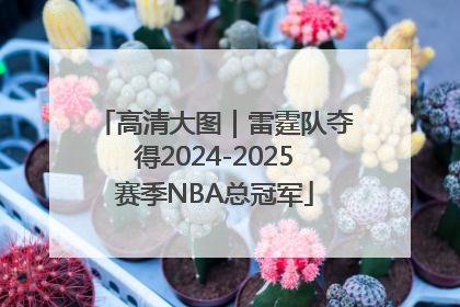 高清大图｜雷霆队夺得2024-2025赛季NBA总冠军
