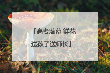 高考落幕 鲜花送孩子送师长