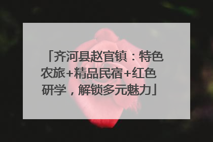 齐河县赵官镇：特色农旅+精品民宿+红色研学，解锁多元魅力