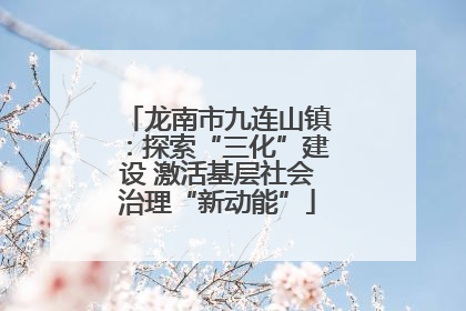 龙南市九连山镇：探索“三化”建设 激活基层社会治理“新动能”