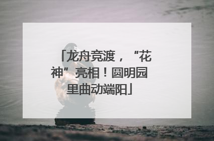 龙舟竞渡，“花神”亮相！圆明园里曲动端阳