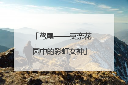 鸢尾——莫奈花园中的彩虹女神