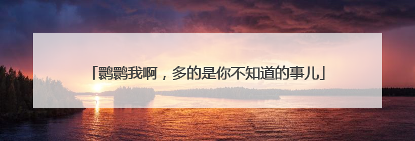鹮鹮我啊，多的是你不知道的事儿