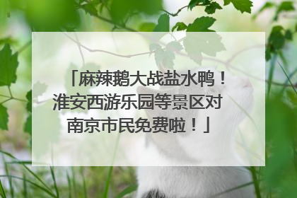 麻辣鹅大战盐水鸭！淮安西游乐园等景区对南京市民免费啦！