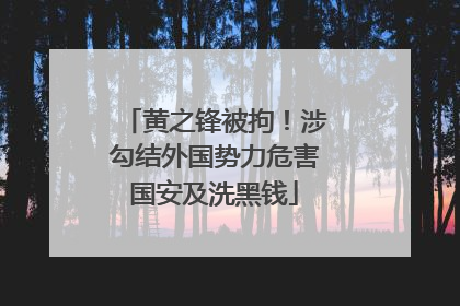 黄之锋被拘！涉勾结外国势力危害国安及洗黑钱